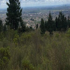 天体博客养眼105
