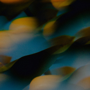 天体博客养眼105
