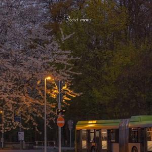 天体博客养眼105
