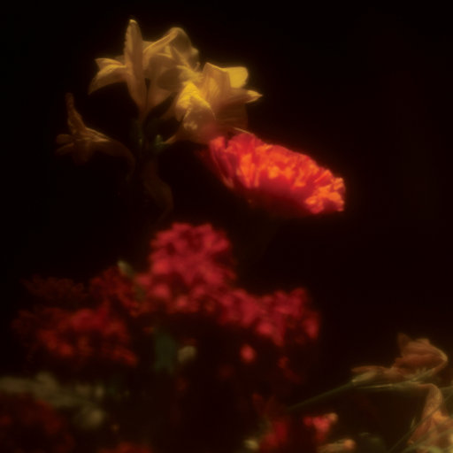 天体博客养眼105
